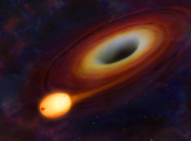 Star falling into black hole