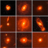 Host galaxies of quasars and active galactic nuclei and relationship to the active black hole